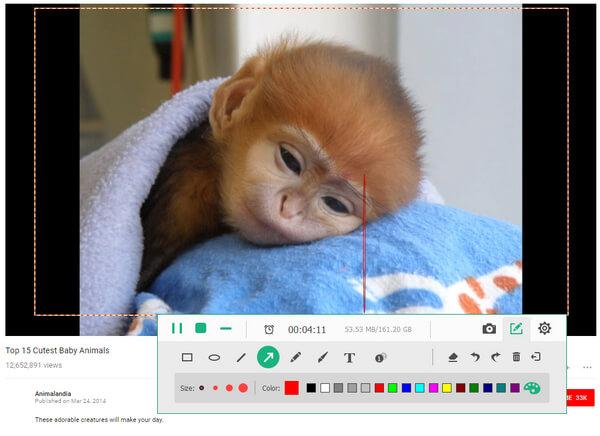 Apeaksoft screen recorder,Apeaksoft